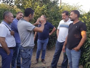 Mısır’dan gelen tarım üreticileri Selçuk’ta ağırlandı