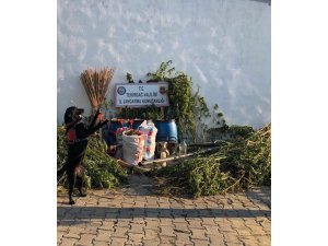 Tekirdağ'da uyuşturucu operasyonu