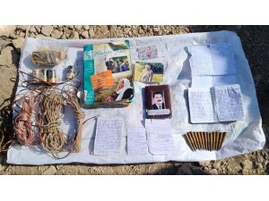 Siirt’te mühimmat ele geçirildi