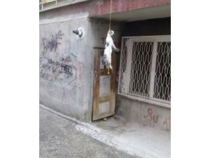 Bunu yapan caniler aranıyor