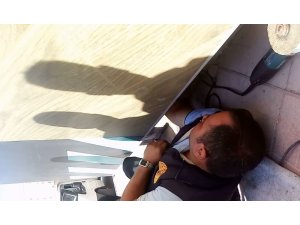 Tabela ile duvar arasına sıkışan kedinin imdadına itfaiye yetişti