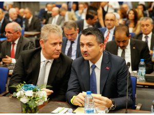 "Türkiye balık ürünleri ihracatında 1 milyar doları geçti"