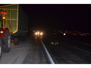 Yola çıkan domuz sürüsü zincirleme kazaya neden oldu