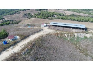 Adana’da kiralık hazine arazisi kavgası: 1 ölü