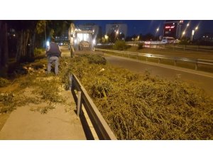 Beklenen fırtına geldi, ağaçlar rüzgara dayanamadı ve devrildi