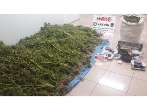 Artvin’de uyuşturucu operasyonu