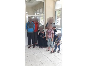 Göçmenler sahte dolaşım belgesiyle yakalandı