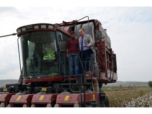 Didim’de pamuk hasadı başladı