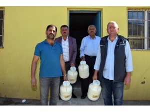 Muş’tan dünyaya peynir ihracatı