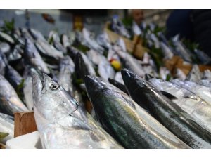 Türkiye balığa yöneldi, palamut fiyatı 3’e katlandı