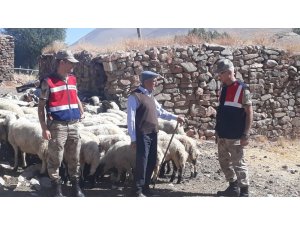 Jandarmanın 50 kilometrelik takibi sonuç verdi