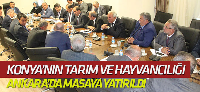 Konya’nın tarım ve hayvancılığı Ankara’da masaya yatırıldı
