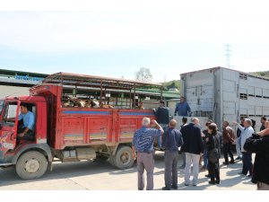 Kocaeli’de 232 genç çiftçiye 6 milyon 960 bin TL hibe desteği verildi