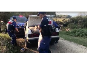3 genç otomobilde baygın halde bulundu