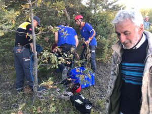 Kurtlardan kaçarken uçurumdan atlayan 40 koyun telef oldu