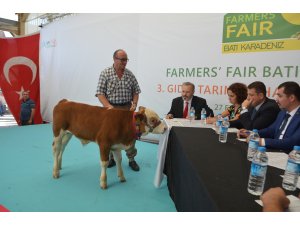 Buzağı ve malaklar podyumda mücadele etti