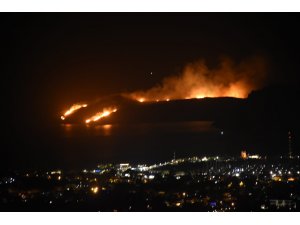 Bodrum'daki makilik yangını