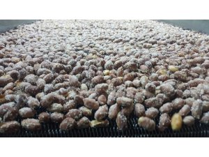 Yeni mahsul fıstıklar tezgahta yerini aldı