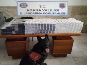 "İmge" çekicilerde bin 627 paket kaçak sigara buldu