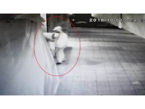 Çekirdek çıtlatarak hırsızlık