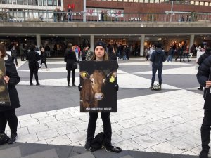 İsveç’te hayvan hakları için sessiz protesto