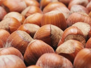 Fındık ihracatı düştü