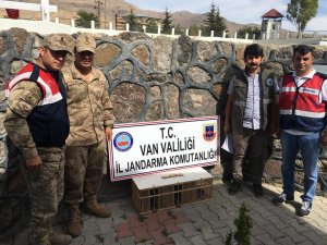 Kafes avcılığı yapan şahsa 3 bin 544 TL idari para cezası kesildi