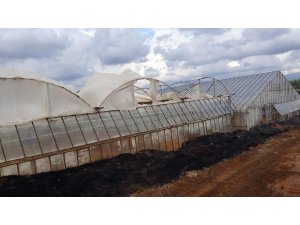 Antalya’da yangında seralar zarar gördü