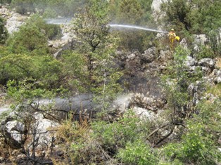 Yangın büyümeden söndürüldü