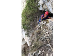 AFAD'dan keçi kurtarma operasyonu