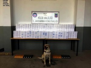 8 Bin 400 paket kaçak sigara yakalandı