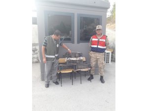 Kaçak keklik avlayan 2 kişiye 10 bin 348 TL idari para cezası kesildi