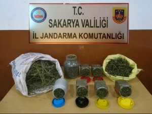 Eylül ayında düzenlenen uyuşturucu operasyonlarında 7 kişi tutuklandı