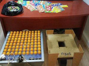 Elazığ’da tombala baskını, 34 şahsa işlem yapıldı
