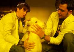 Aydoğanlar MYO’dan hayvan tesi