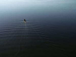 Yeşil ve mavinin buluştuğu saklı cennet: “Suğla Gölü’’
