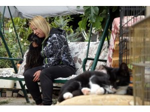 "Garip"in yavruları gönüllü bakıcıya emanet