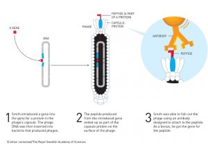 Nobel Kimya Ödülü 3 isme gitti