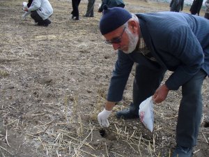 Seydişehir’de tarla faresiyle mücadele