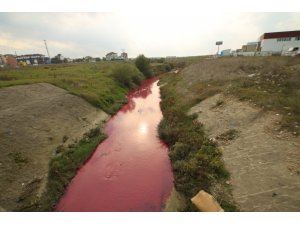 Kimyasal atık nedeniyle dere "kırmızı ve pembe" akıyor
