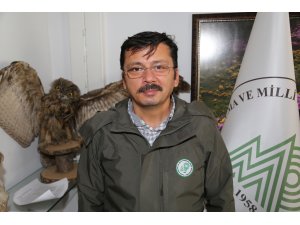 Usulsüz bıldırcın avına 402 lira ceza