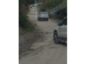Şantiyede çalışan işçilere ayı saldırdı
