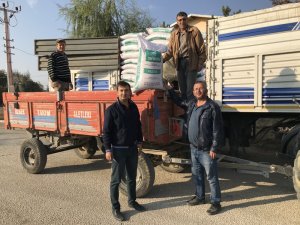 Ilgın'da buğday tohumu dağıtıldı