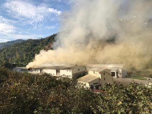 Trabzon'da süt fabrikasında yangın