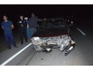 Tokat’ta otomobil koyunlara çarptı