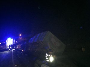 Tomruk yüklü kamyon devrildi: 1 ölü