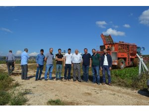 Pancar hasadı başladı