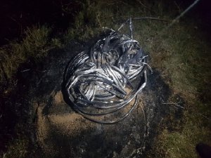 Telefon kablosu çalan 2 kişi tutuklandı