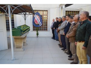 45 günlük yaşam savaşını kaybetti