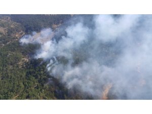 GÜNCELLEME - Denizli'de orman yangını